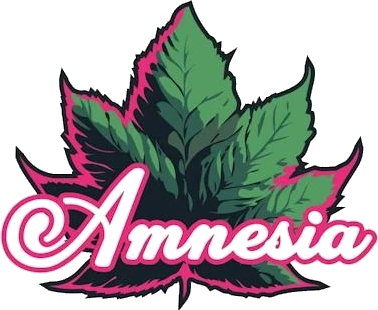 Amnesia logo