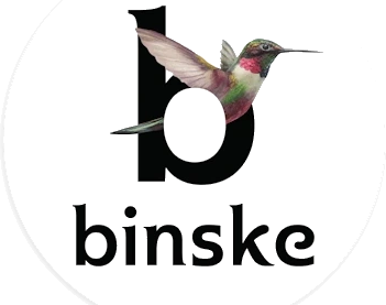binske logo