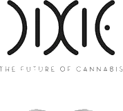 Dixie logo